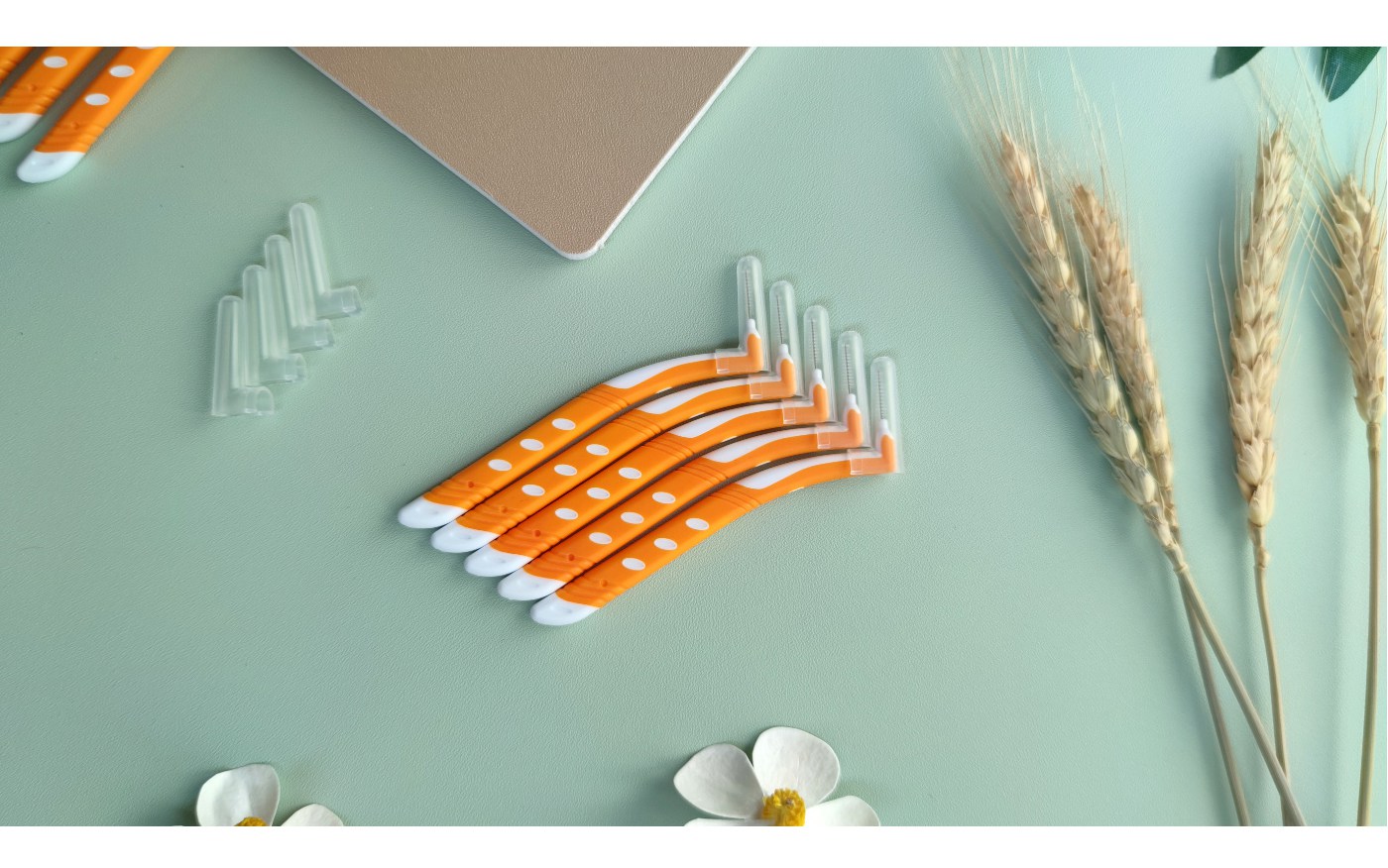 Interdental Brush